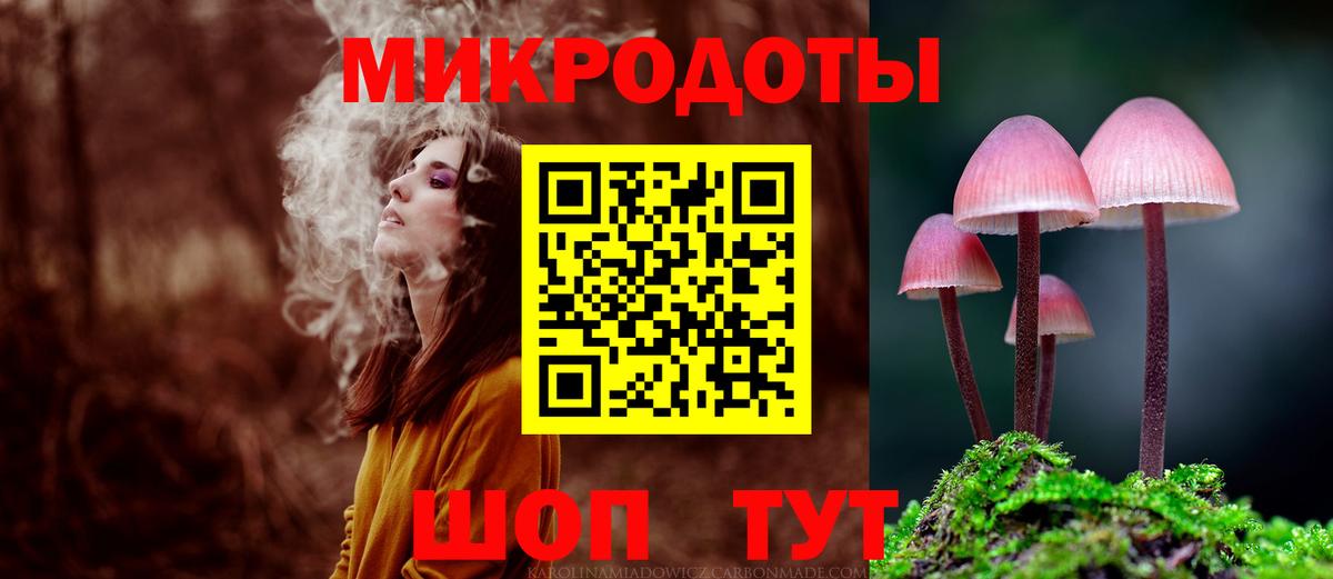 Гусиноозёрск  Псилоцибиновые грибы мицелий  Вход с VPN 